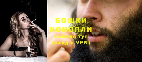 дмт Белокуриха