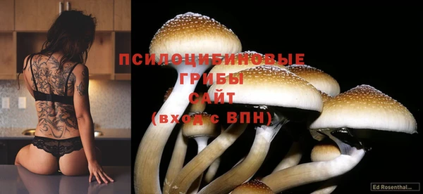 каннабис Беломорск