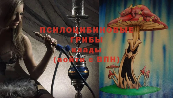 каннабис Беломорск