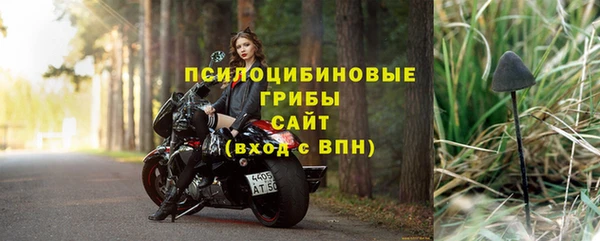 дмт Белокуриха