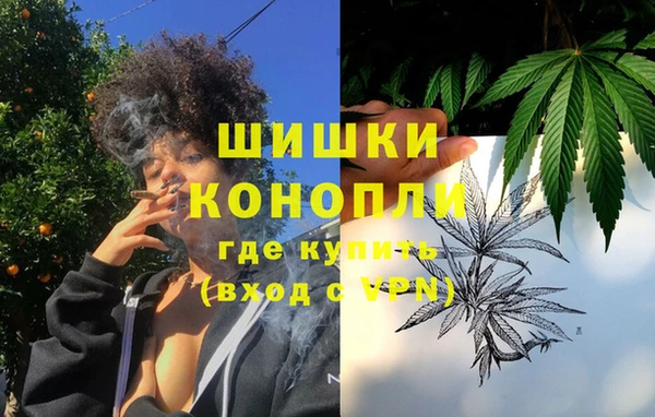 дмт Белокуриха