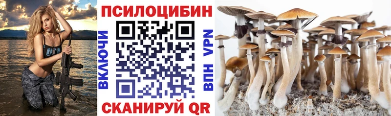 наркошоп  Одинцово  Галлюциногенные грибы Magic Shrooms 